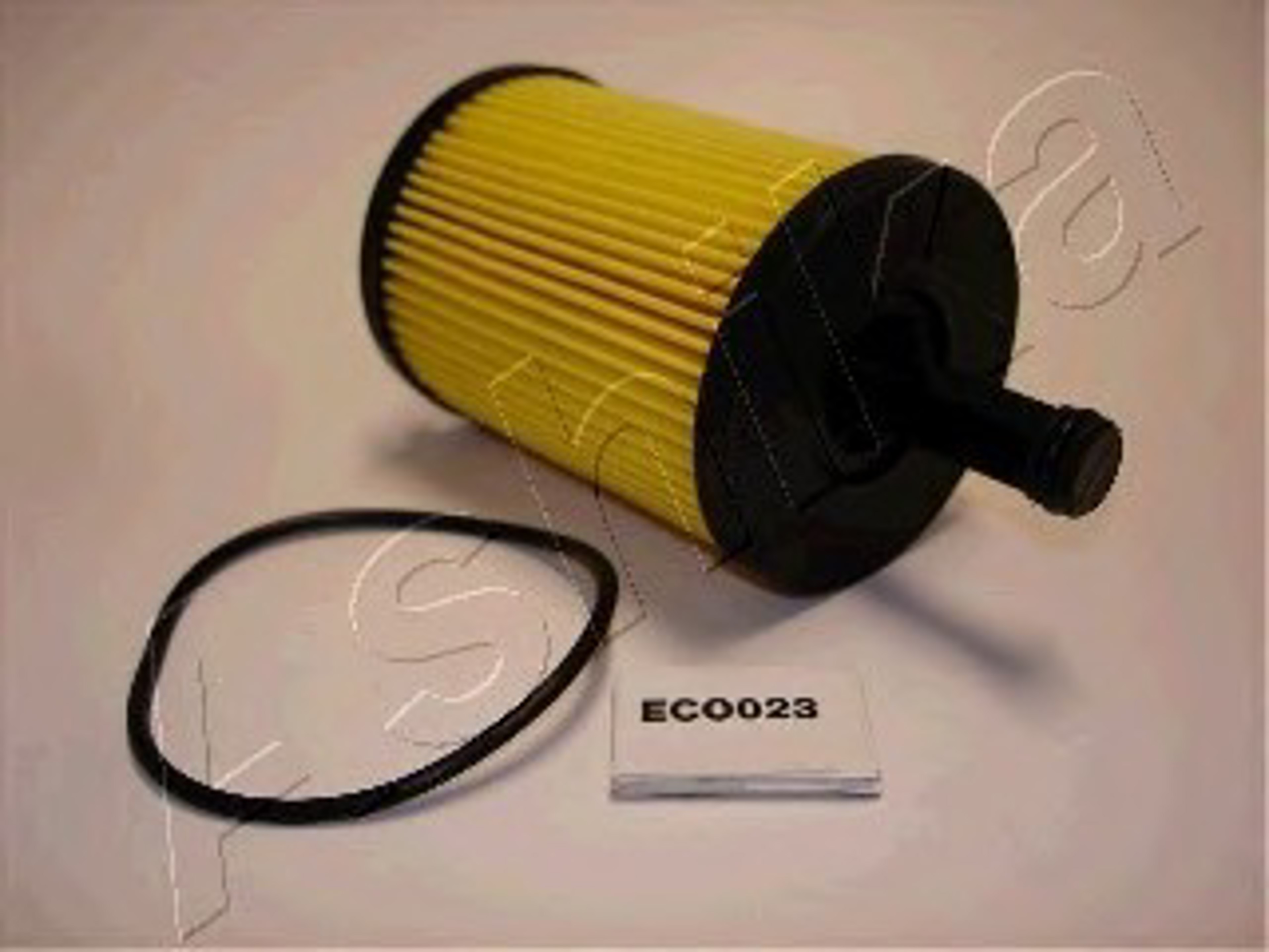 10ECO023