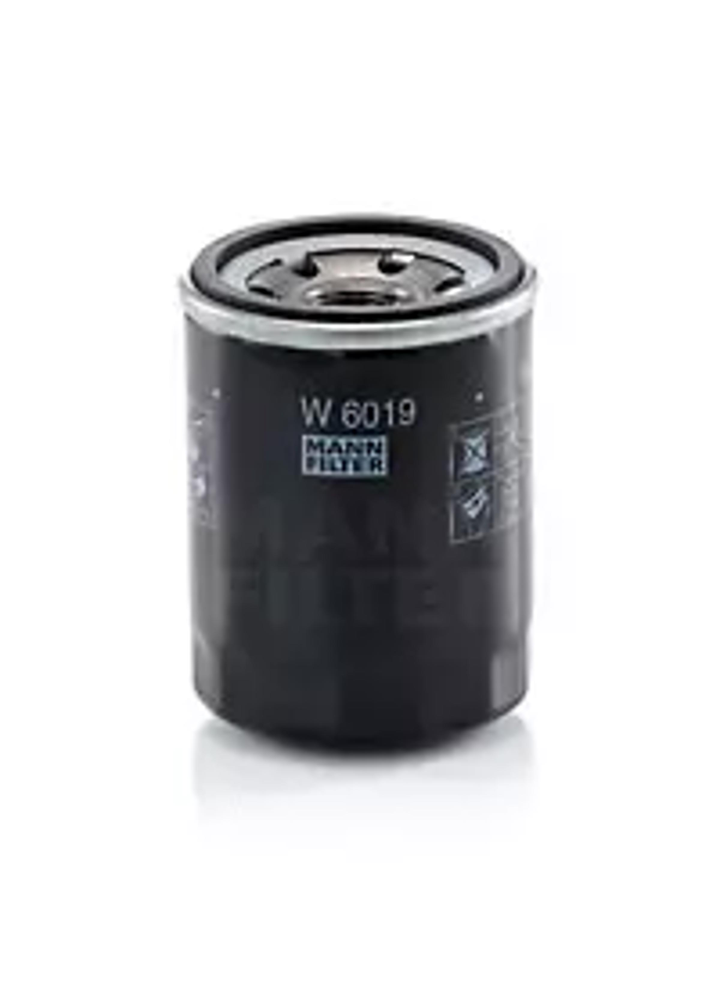 W6019